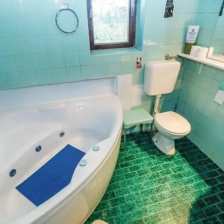 Family Friendly House With A Parking Space Fuzine, Gorski Kotar - 20571 * Fužine